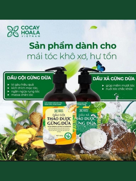 SẠCH GÀU HẾT NGỨA SAU 7 NGÀY VỚI DẦU GỘI XẢ THẢO DƯỢC GỪNG DỪA HỮU CƠ CỎ CÂY HOA LÁ